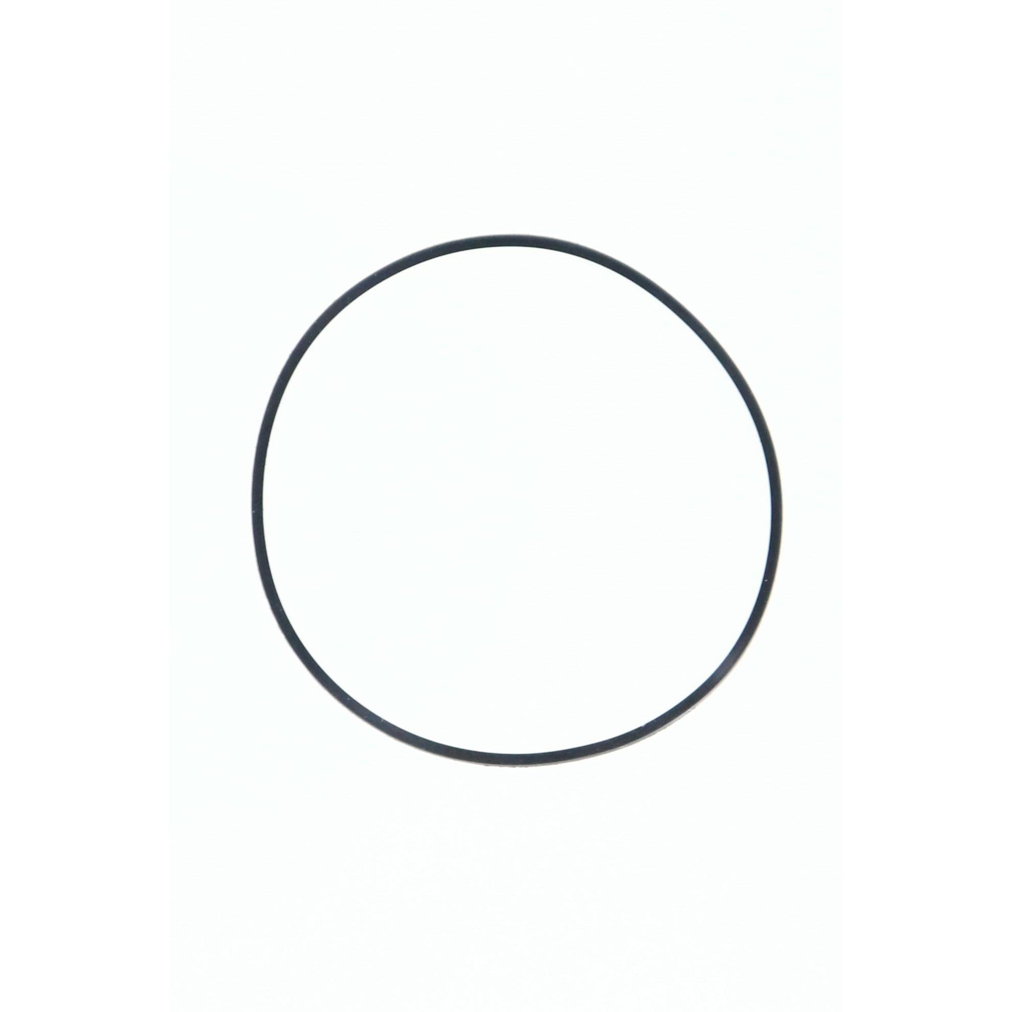 Seiko FH2980B0A Case Back Gasket SCG010J1, SGT099J1 & SKH004P1 - Watch Plaza